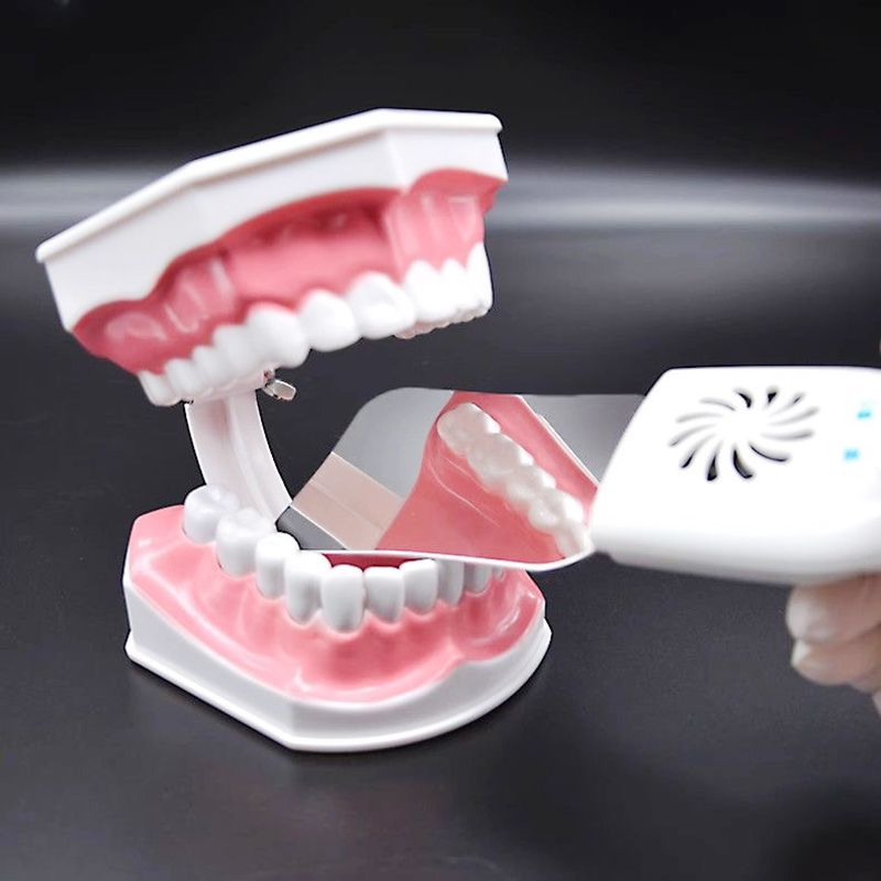 Stainless Steel Dental Plate S - Photography Lighting Tools 评论和价格