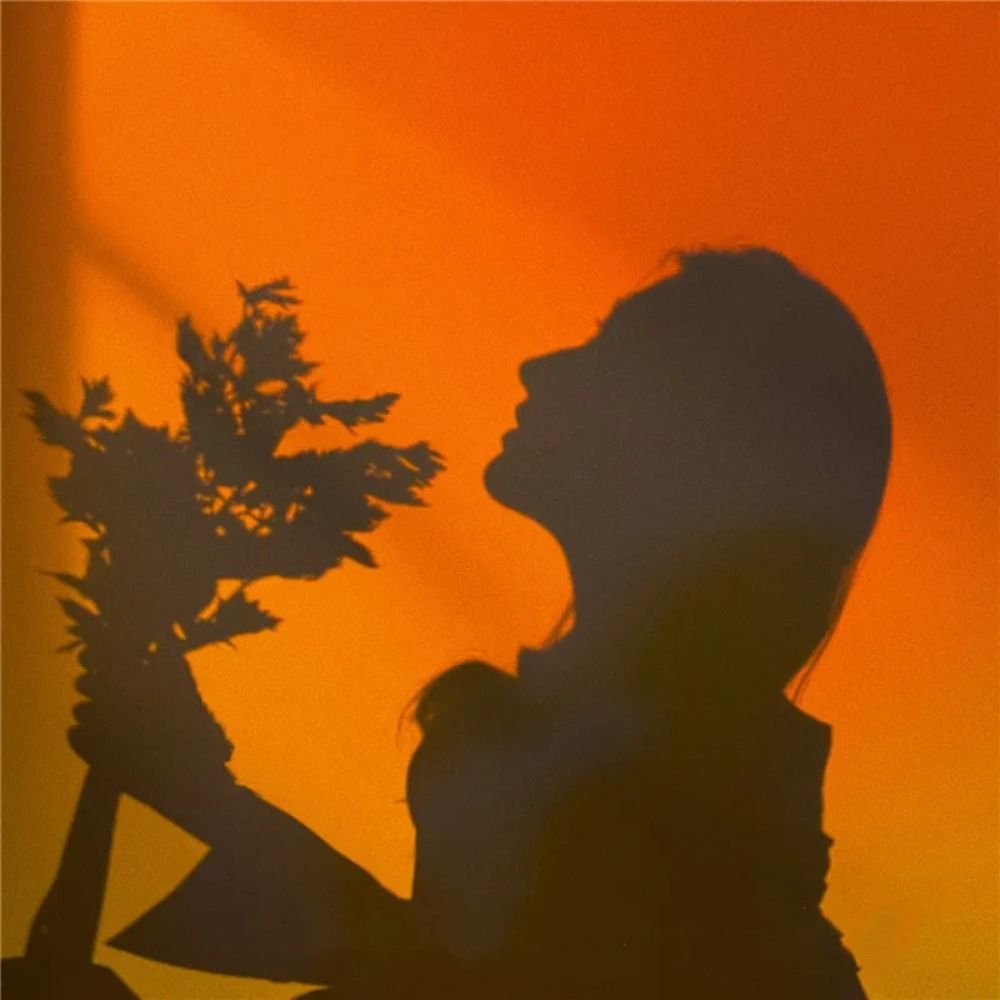 Mood Lighting RGB Sunset Lamp  - Photography Lighting Rgb 评论和价格